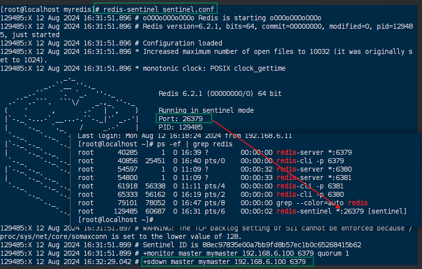 image-20240812164834840